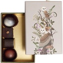 MAGICAL FOREST basic rectangular box