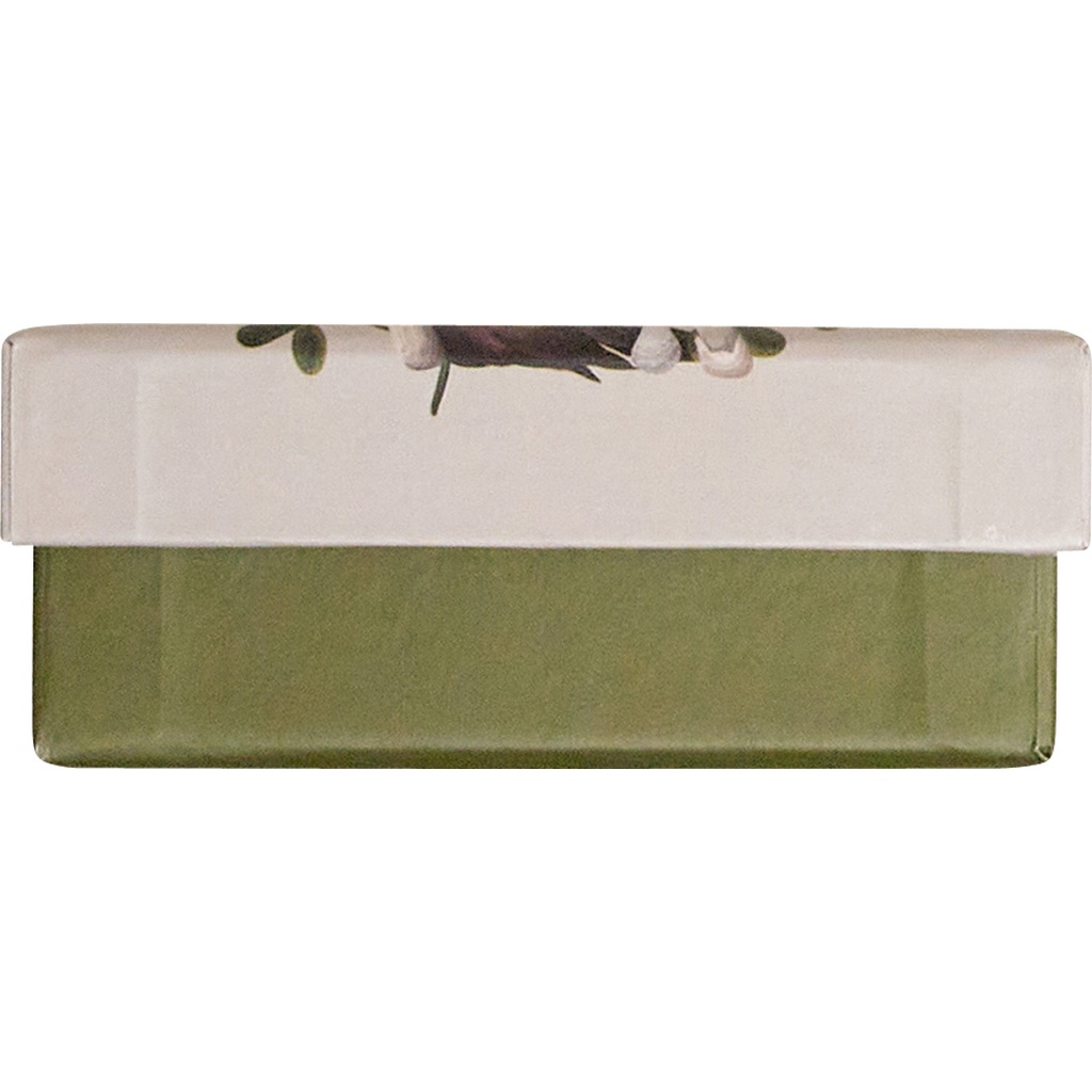 MAGICAL FOREST basic rectangular box