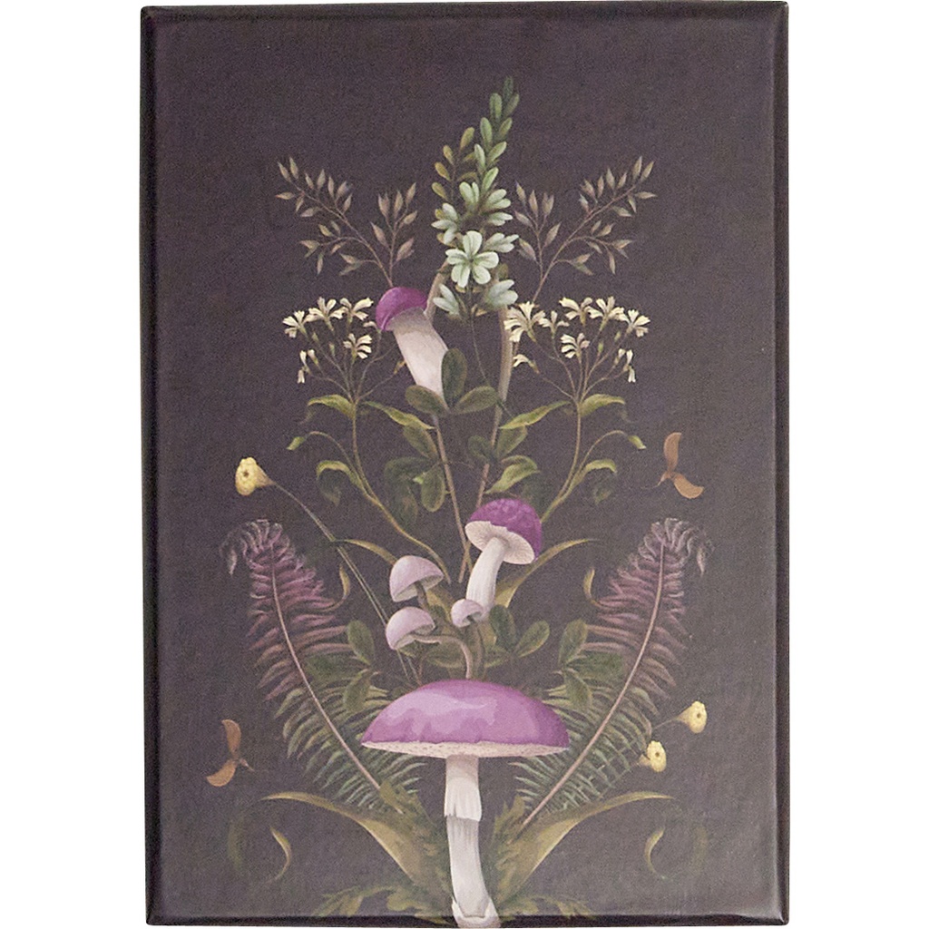 MAGICAL FOREST basic rectangular box