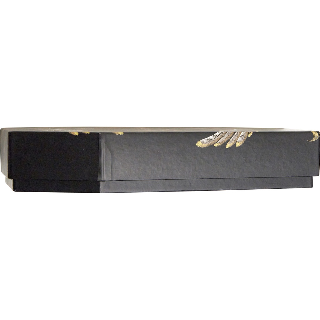 HALLOWEEN coffin box
