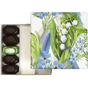 FRESH HARMONY basic 10 assortment of 2