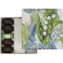 FRESH HARMONY basic 10 assortment of 2