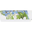 FRESH HARMONY basic 10 assortment of 2