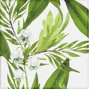 FRESH HARMONY basic 10 assortment of 2