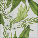 FRESH HARMONY basic 10 assortment of 2