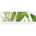FRESH HARMONY basic 10 assortment of 2
