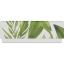 FRESH HARMONY basic 10 assortment of 2
