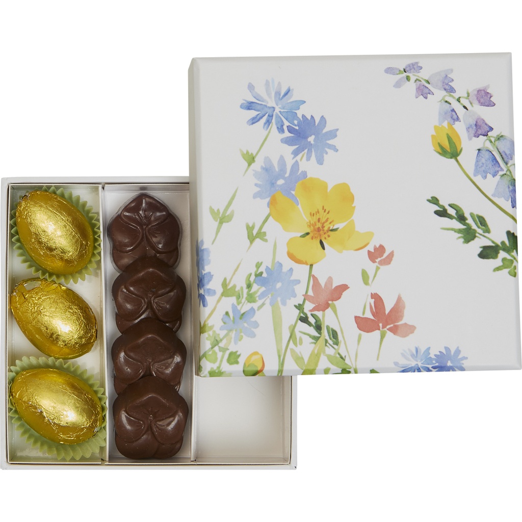 WILD SPRING basic 10 assortment of 2