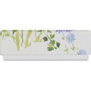 WILD SPRING basic 10 assortment of 2