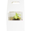 WILD SPRING cellobox support 19