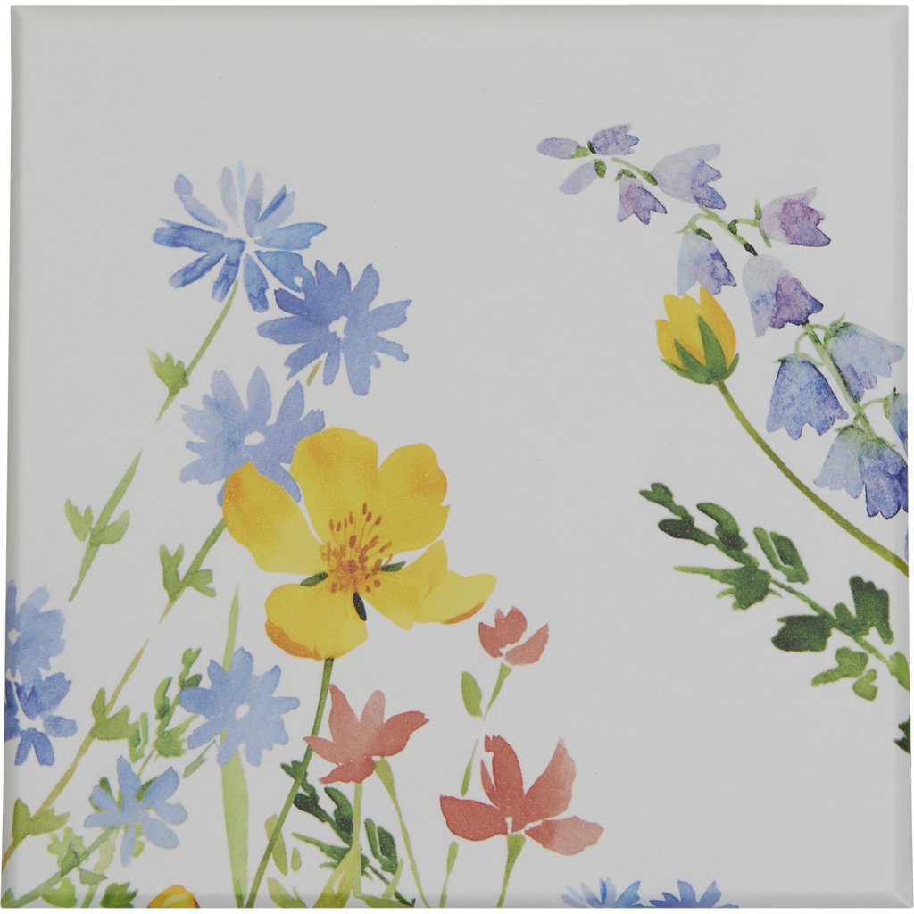 WILD SPRING frenchy 09 assortment of 2