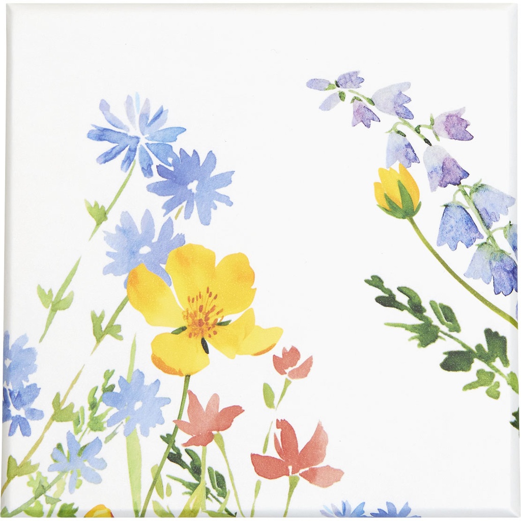 WILD SPRING frenchy 09 assortment of 2