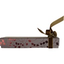 Giorgio discovery box