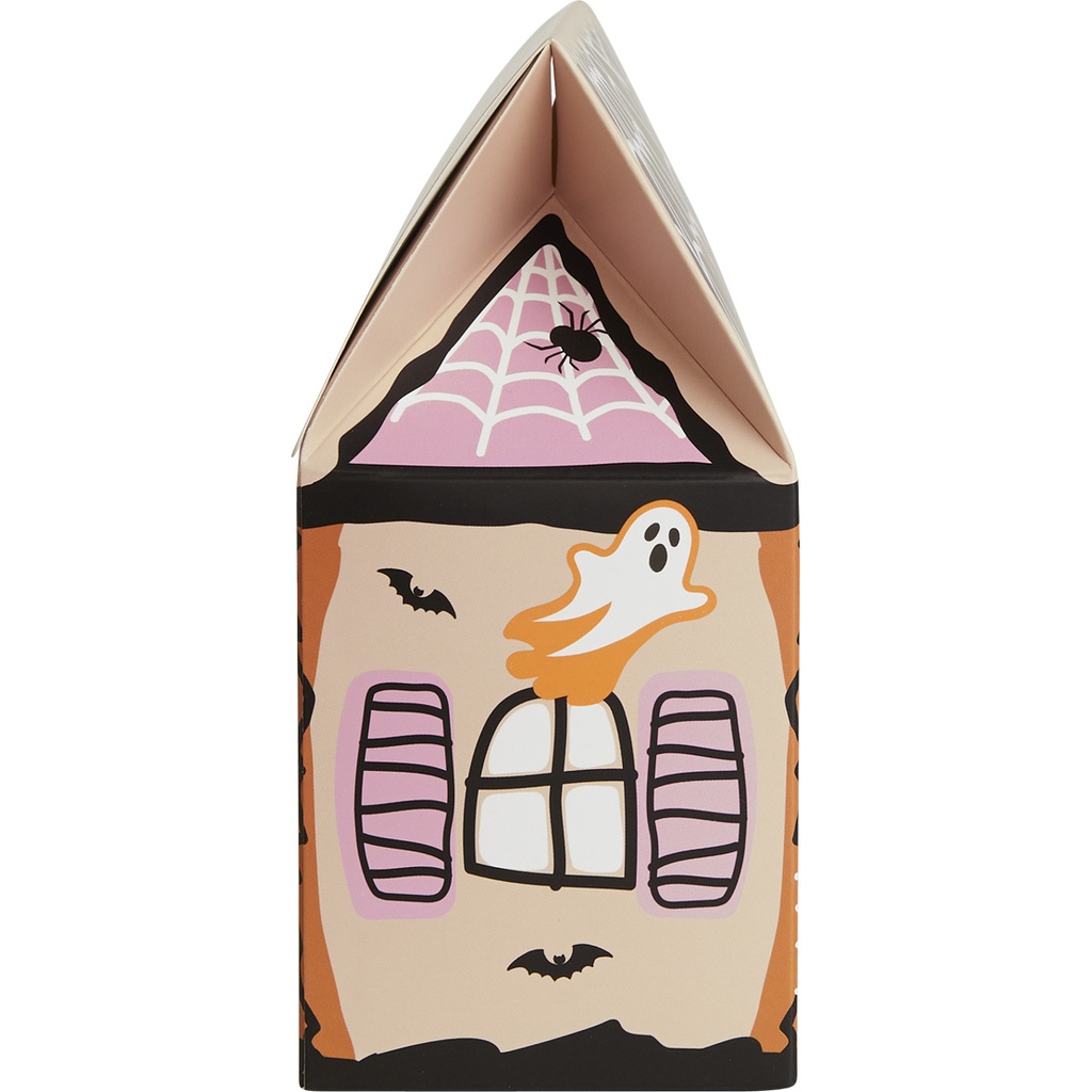 Halloween house box