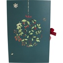 Where winter blooms boookstyle advent calendar
