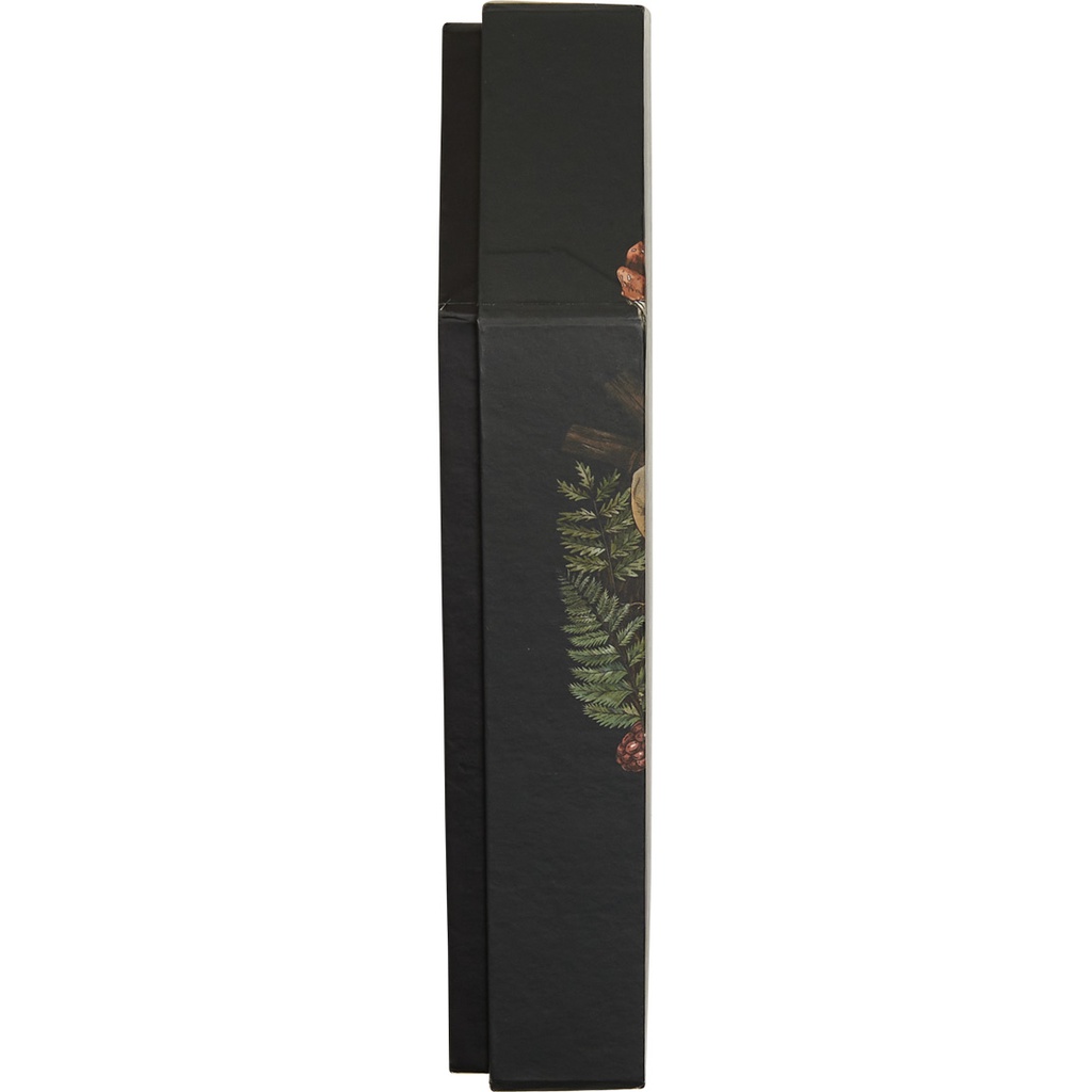 Halloween coffin box