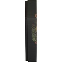 Halloween coffin box