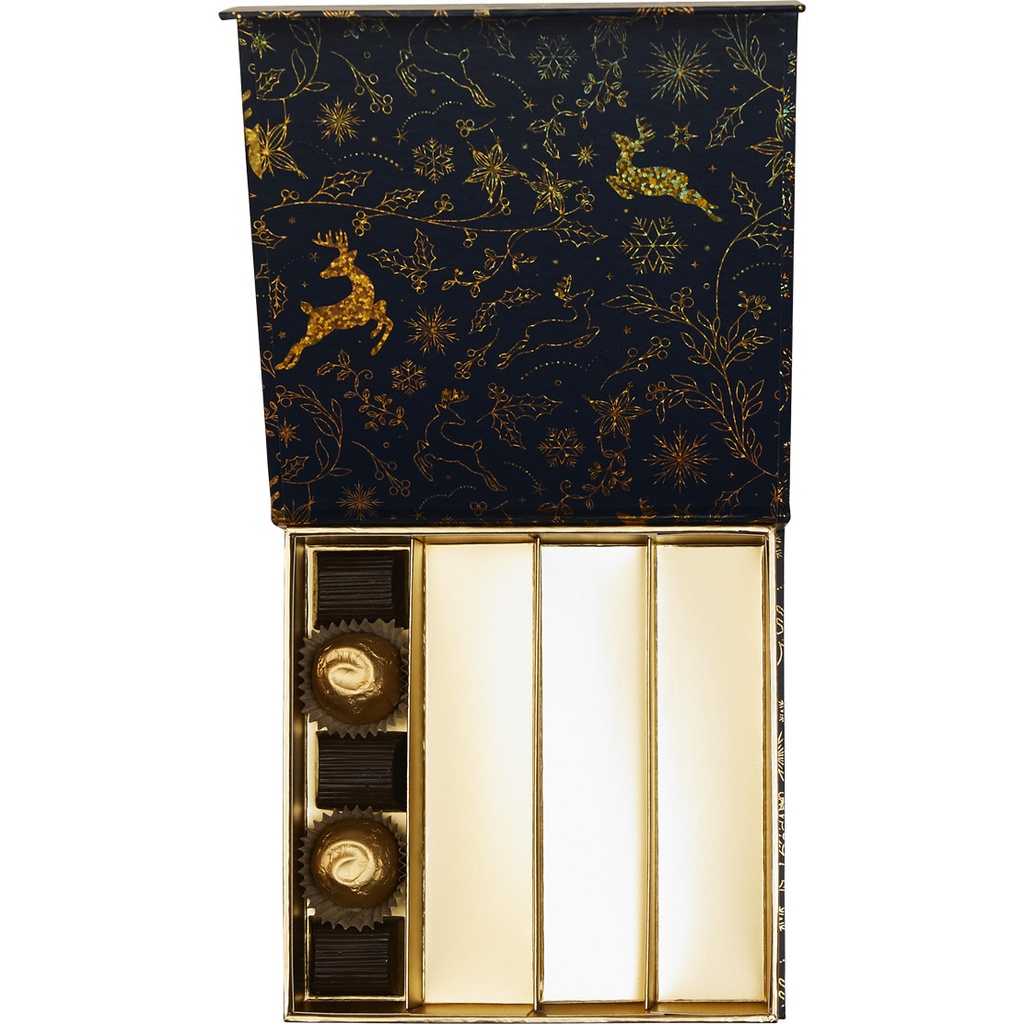 Magical night magnet 14