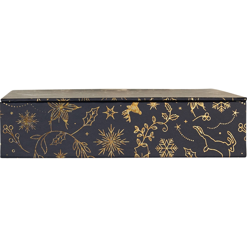 Magical night magnet 14