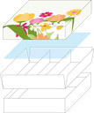 Garden Whisper basic 09 assortment of 3