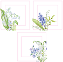 May Bloom basic 09 assortment of 3