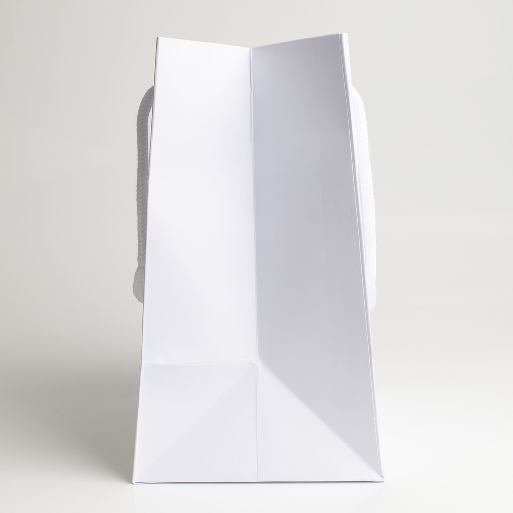 Luxury bag rectangular 18
