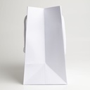 Luxury bag rectangular 18
