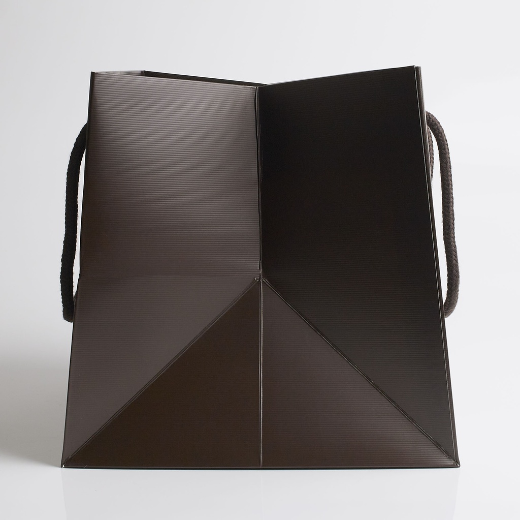 Luxury bag square 20