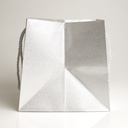 Luxury bag square 20