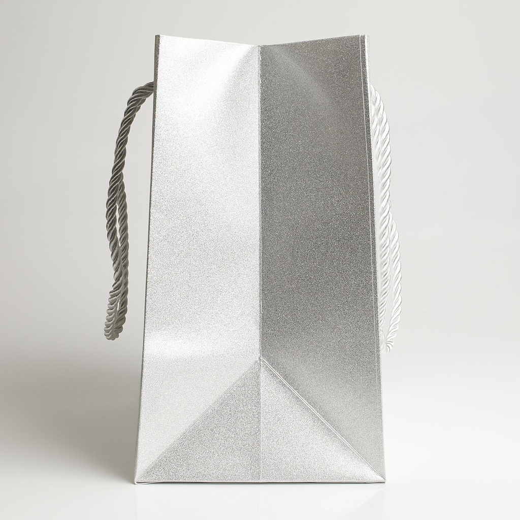 Luxury bag rectangular 18