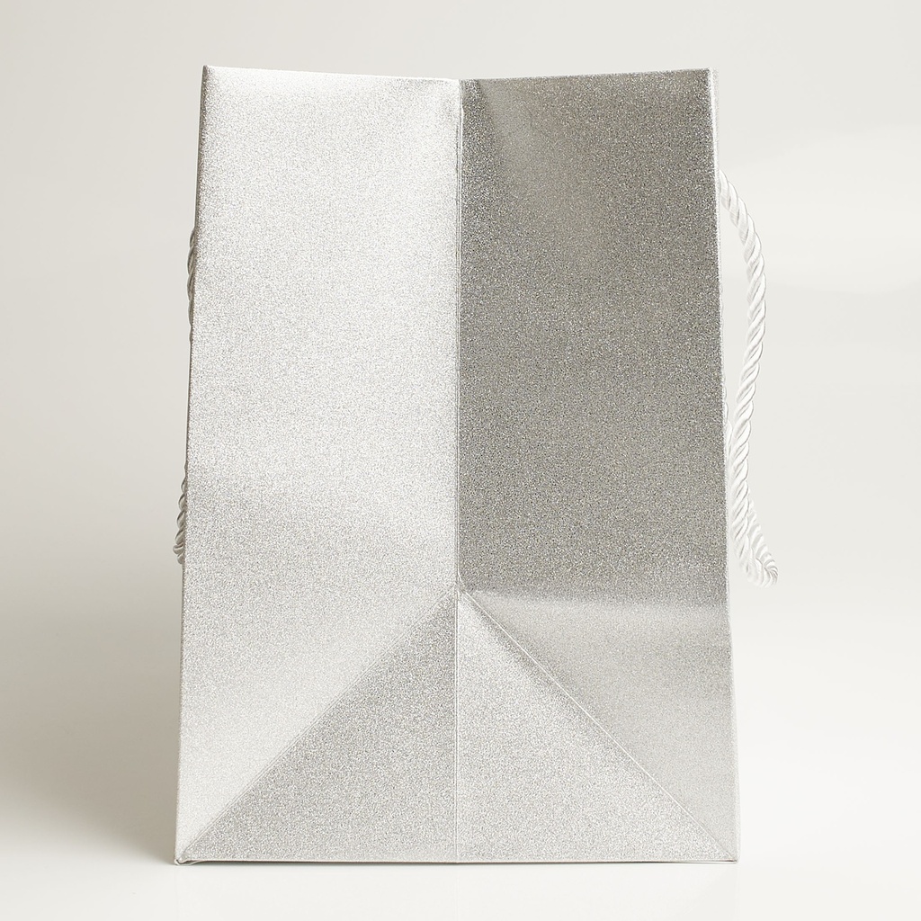 Luxury bag rectangular 25