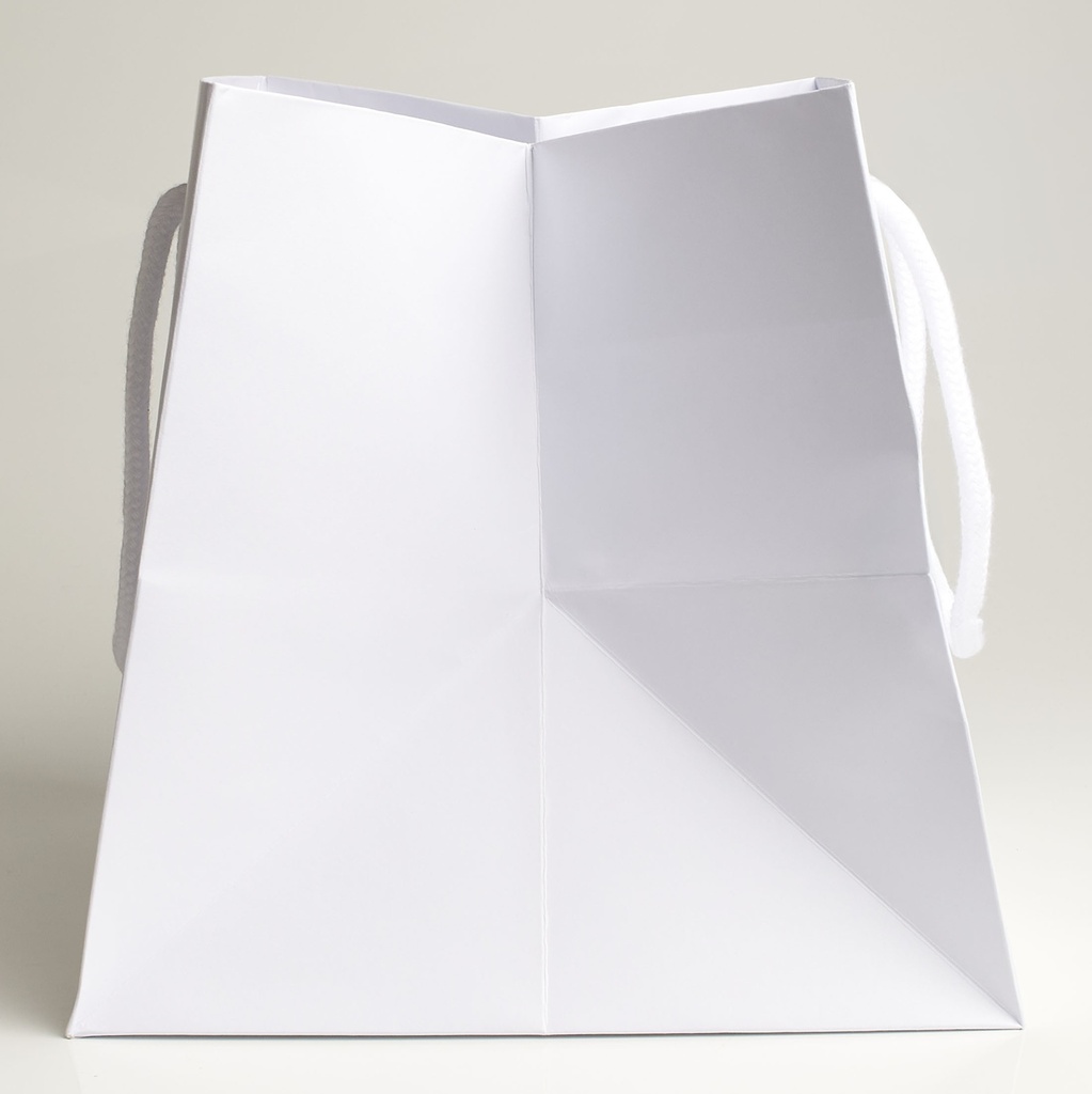 Luxury bag square 20