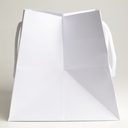 Luxury bag square 20