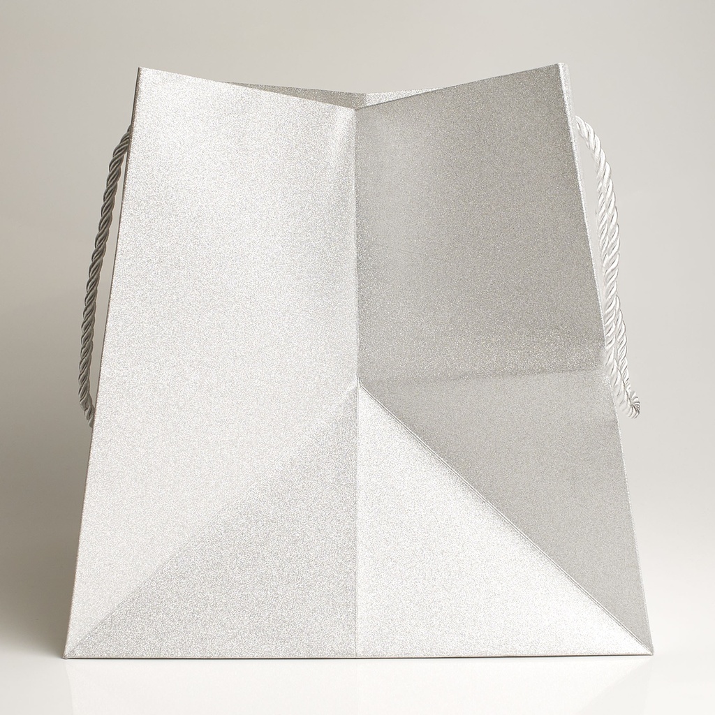 Luxury bag square 25