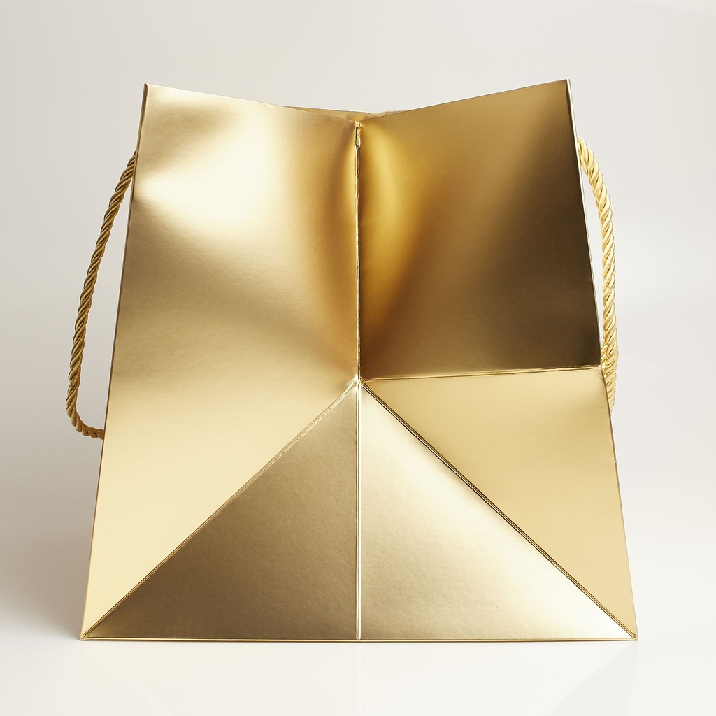 Luxury bag square 25