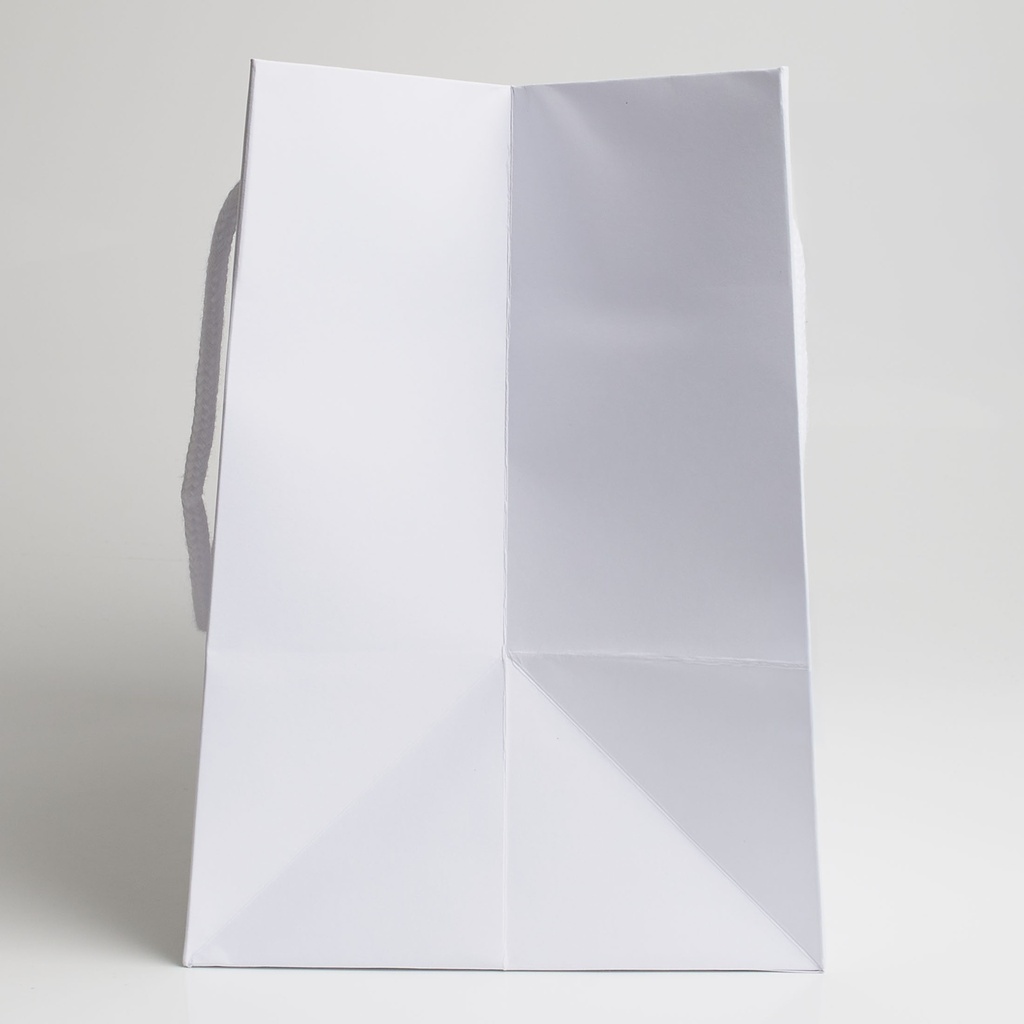 Luxury bag rectangular 25