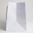 Luxury bag rectangular 25