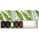 FRESH HARMONY basic reglet 05