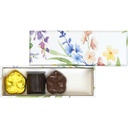 WILD SPRING basic reglet 04