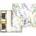 WILD SPRING basic 14