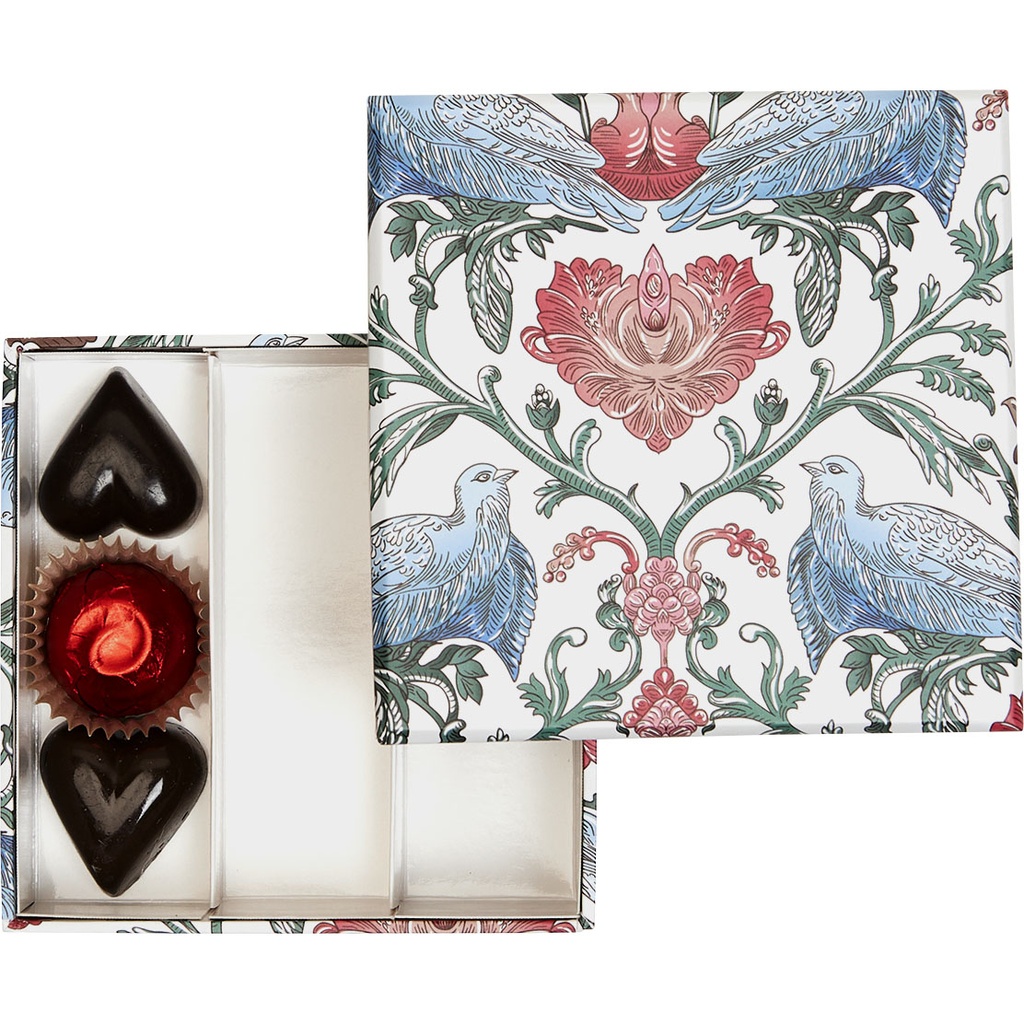 BIRD OF PARADISE basic 10