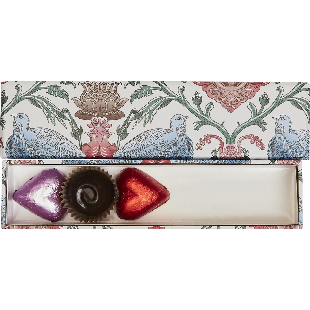 BIRD OF PARADISE basic reglet 05
