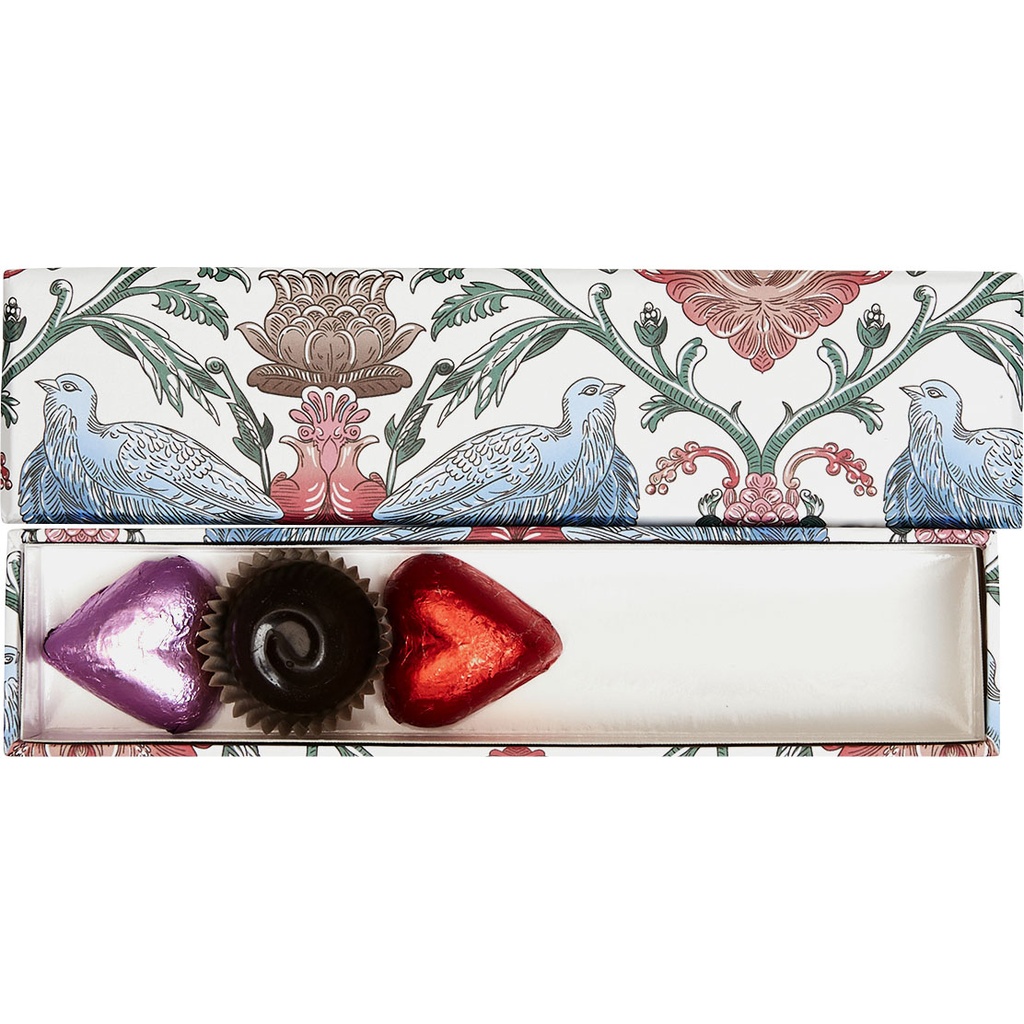 BIRD OF PARADISE basic reglet 05