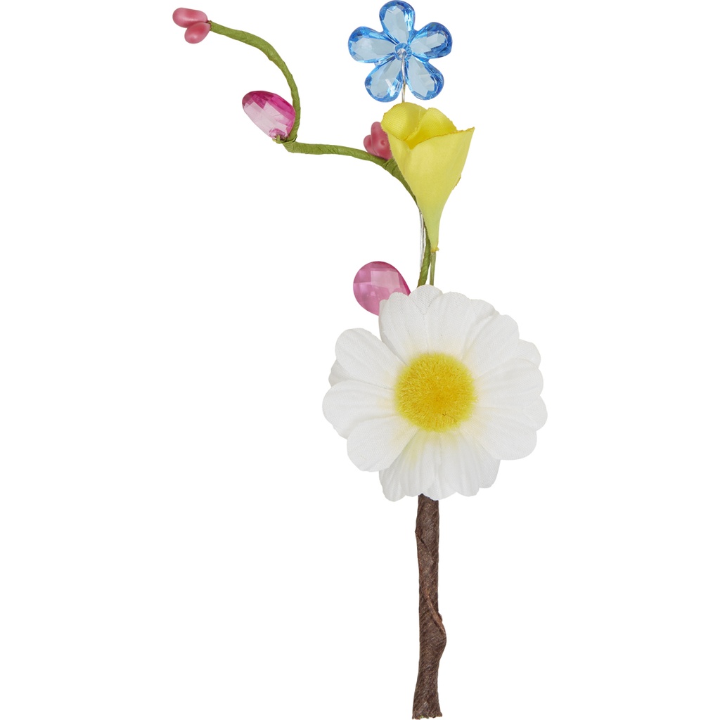 WILD SPRING Pick 1