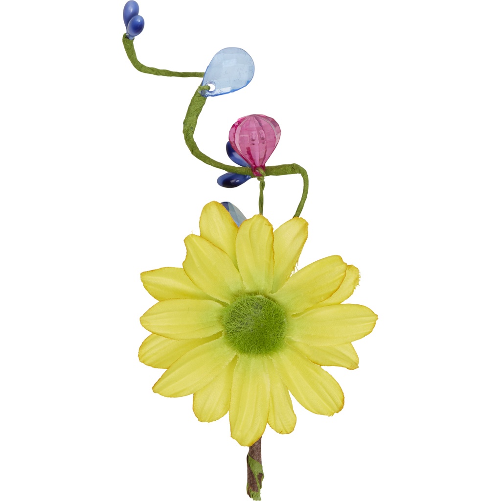 WILD SPRING Pick 2