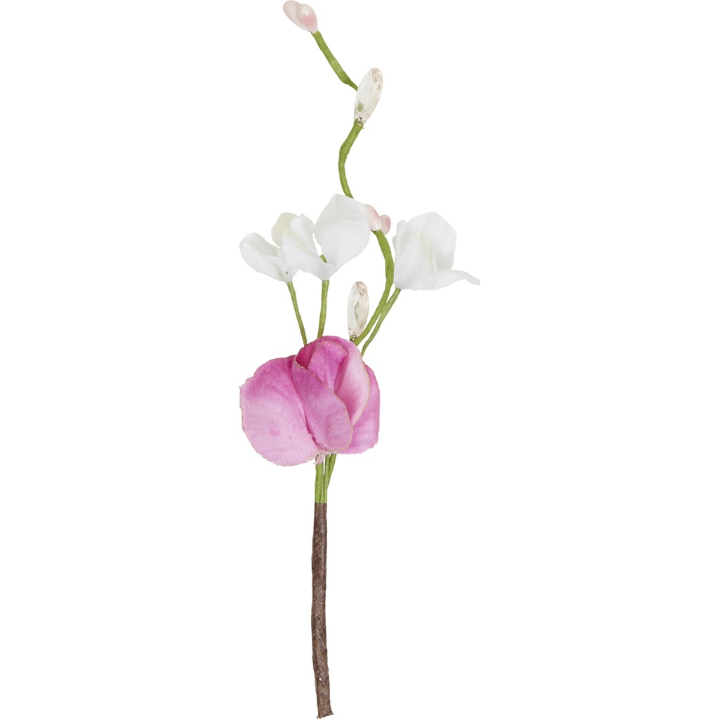 BIRD OF PARADISE Pick 1