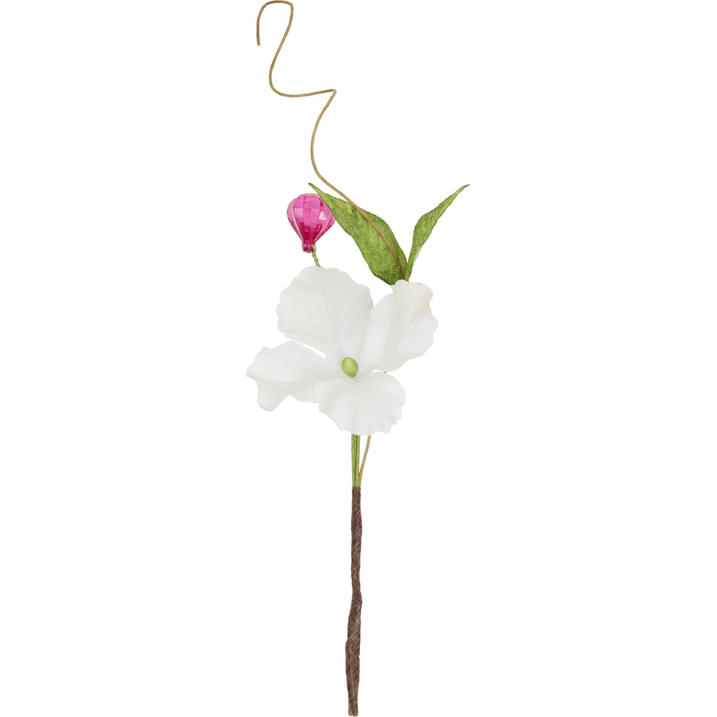 SECRET GARDEN Pick 2