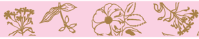 SECRET GARDEN Ribbon 25mm