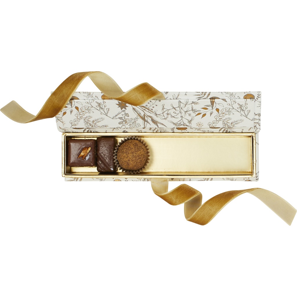 Snowgold plug reglet 05