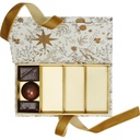 Snowgold plug rectangular low box 08